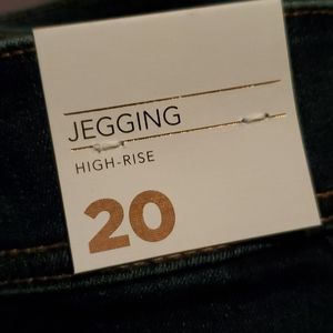 Lane Bryant- HighRise 3-Button Jegging - Dark Wash